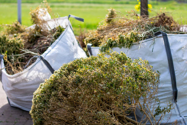 Best Construction Debris Removal  in White Sulphur Springs, WV